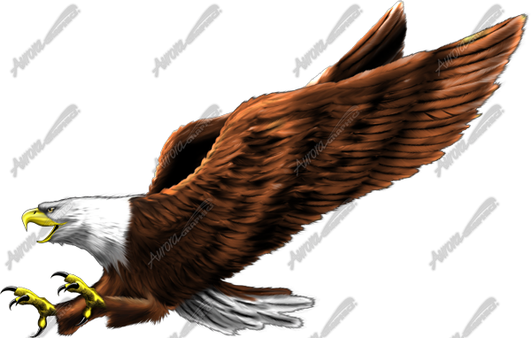 Screaming Eagle