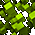 Cube Explosion