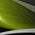 Cyber Space is an immense and stunning abstract design, characterized by intricate metallic or molten metal-like swirls set against a dynamic background. This expansive artwork, measuring 220 inches by 90 inches, is crafted with an astonishing level of detail that remains crisp and vibrant even when printed at such a large scale.