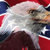 Rebel Flag Eagle Vehicle Wrap Design — Large Scale Artwork for Wide Format Printing | Categories: Flags