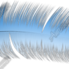 Feather Vehicle Wrap Design — Large Scale Artwork for Wide Format Printing | Categories: Nature