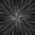 Star Burst is a striking abstract image that captures the dynamic motion of light and energy converging into a radiant focal point. This high-impact graphic radiates sleek, high-contrast streaks from a central origin, creating an intense burst effect that is both modern and visually captivating. The clean, metallic-like lines draw the eye instantly to the center, making it an ideal choice for designs that demand attention. Perfect for use in advertising, this image naturally creates a strong focal area that can easily be paired with text or logos without sacrificing visual impact.