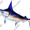Swordfish