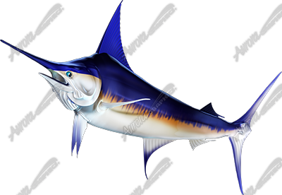 Swordfish