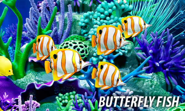Butterfly Fish