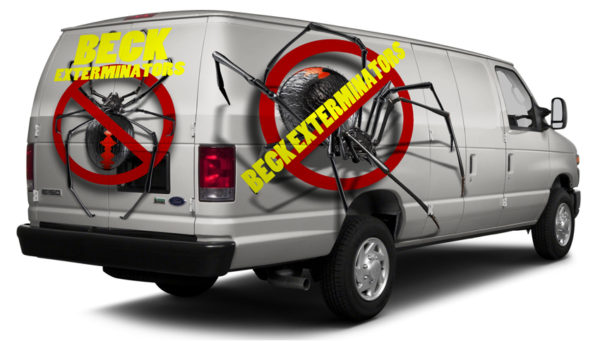 Black Widow 1 Vehicle Wrap Design — Large Scale Artwork for Wide Format Printing | Categories: Commercial, Industry, Nature