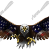 American Eagle Flight Wide
