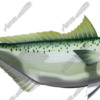 Kahawai
