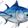 Bluefin Tuna