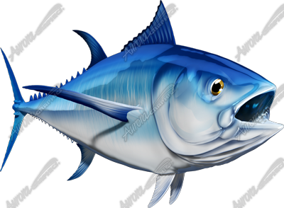 Bluefin Tuna