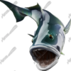 White Seabass