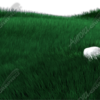 Grass Vehicle Wrap Design — Large Scale Artwork for Wide Format Printing | Categories: PIK6 Everyday, Commercial, Nature