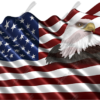 Waving American Flag Eagle Head Small 4