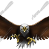 Eagle Flight Wide captures the raw intensity and grace of the American Bald Eagle mid-dive, rendered with extraordinary detail and impact. This powerful graphic showcases the eagle with wings fully extended, talons outstretched, and eyes locked forward in a dynamic, aggressive pose. Designed at a massive creation scale, this image is built for professional digital printing and delivers outstanding clarity even on the largest wraps or signage projects.