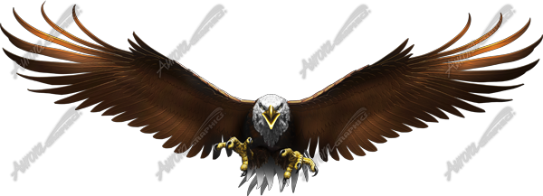 Eagle Flight Wide Vehicle Wrap Design — Large Scale Artwork for Wide Format Printing | Categories: PIK6 Everyday, Nature