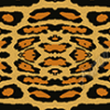 Leopard Hide 1
