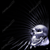 Spiral Glass Skull 3 Vehicle Wrap Design — Large Scale Artwork for Wide Format Printing | Categories: Skulls