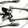 Skeleton Vehicle Wrap Design — Large Scale Artwork for Wide Format Printing | Categories: PIK6 Everyday, Skulls