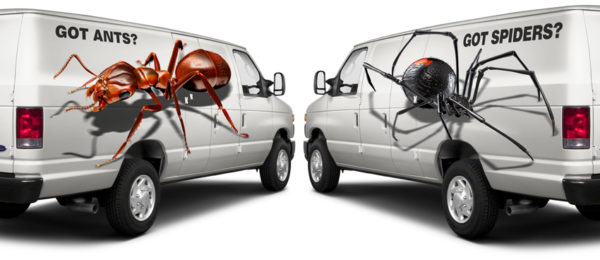 Black Ant 3 Vehicle Wrap Design — Large Scale Artwork for Wide Format Printing | Categories: Commercial, Industry, Nature