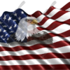 Waving American Flag Eagle Head Small 2