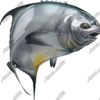 Permit