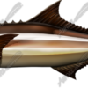 Cobia