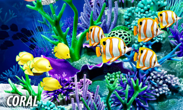 Coral 2