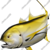 Crevalle Jack