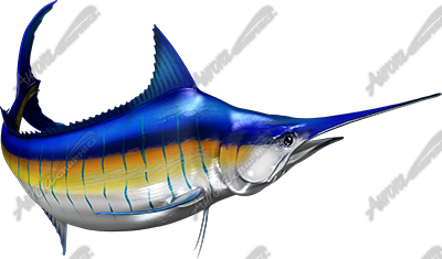 Blue Marlin