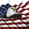 Waving American Flag Eagle Head Small