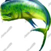 Mahi Mahi