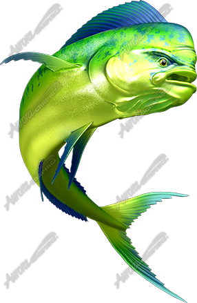 Mahi Mahi