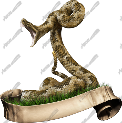 Dont Tread On Me 1 Gadsden Flag Rattlesnake snake strike banner graphic Revolutionary Army Patriotic image. Snake, Rattlesnake. CutContour Graphics Cut Contour Design Cut File Print/Cut Print Cut. High Resolution Design Graphics Image.