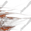 Lace Flames Vehicle Wrap Design — Large Scale Artwork for Wide Format Printing | Categories: Flames