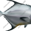 Permit