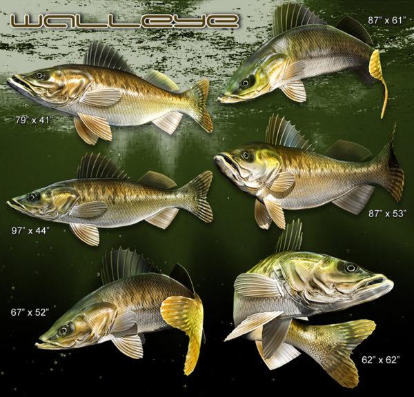 Walleye Fish