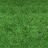 Nice Grass Vehicle Wrap Design — Large Scale Artwork for Wide Format Printing | Categories: Nature