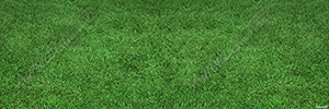 Nice Grass Vehicle Wrap Design — Large Scale Artwork for Wide Format Printing | Categories: Nature