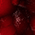 Frog Skin