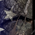 American Flag Buck Bed Band