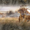 Buck Full Size Tailgate Graphic fits most Full Size trucks and SUV tailgates.This image features a morning herd of whitetail deer alerted at the presence of a rival buck. This tailgate graphic is provided in one of 7 Bushwolf Camo patterns