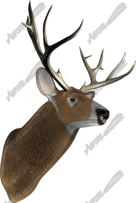 Buck is a highly detailed and realistic transparent .tiff image of a majestic buck, designed for vehicle wraps, rear window graphics, tailgate designs, signage, and more. Perfect for hunters, sportsmen, lodges, and outdoor-themed businesses, this image showcases the strength and beauty of a full-front-facing buck, complete with impressive antlers and lifelike textures. Hunting, shooting, outdoor, forest, deer.