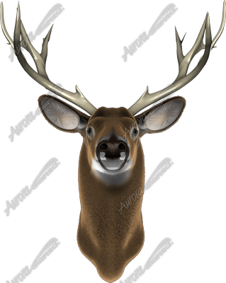 Buck Front is a highly detailed and realistic transparent .tiff image of a majestic buck, designed for vehicle wraps, rear window graphics, tailgate designs, signage, and more. Perfect for hunters, sportsmen, lodges, and outdoor-themed businesses, this image showcases the strength and beauty of a full-front-facing buck, complete with impressive antlers and lifelike textures. Hunting, shooting, outdoor, forest, deer.