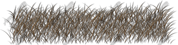 Bushwolf Grass Accent Aurora Graphics makes the largest and highest resolution camouflage, camo patterns on the planet under the Bushwolf obliteration trademark. In direct competition with and Superior to companies like Kryptek, Realtree, Mossyoak, real, tree, mossy, oak. We offer many different designs such as lifestyle patterns, tactical patterns, hunting patterns, field patterns. Great for hunting any type of game such as pheasant, deer, turkey, quail, buck, Whitetail, elk, Caribou, moose, Pronghorn sheep, antelope. Grass, Forest, Hunting and Trucker.