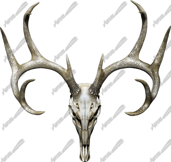 Buck Skull 2 is a high-resolution, ultra-detailed image crafted for hunters, outdoorsmen, and anyone who appreciates rugged, nature-inspired designs. This realistic depiction of a buck skull captures every intricate detail, from the natural texture of the bone to the impressive antler structure, making it a perfect addition to hunting-themed projects, custom mounts, and rustic designs. Hunting, deer, shooting, shed, antlers, mount.