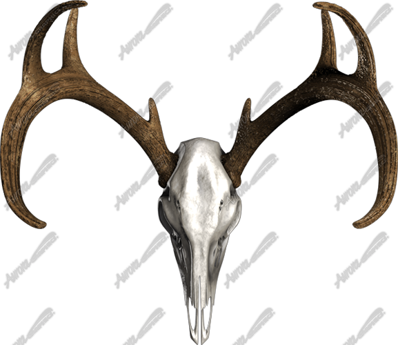 Buck Skull Bone is a high-resolution, ultra-detailed image crafted for hunters, outdoorsmen, and anyone who appreciates rugged, nature-inspired designs. This realistic depiction of a buck skull captures every intricate detail, from the natural texture of the bone to the impressive antler structure, making it a perfect addition to hunting-themed projects, custom mounts, and rustic designs. Hunting, deer, shooting, shed, antlers, mount.