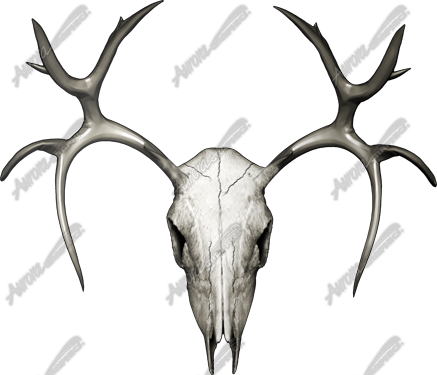 Buck Skull is a high-resolution, ultra-detailed image crafted for hunters, outdoorsmen, and anyone who appreciates rugged, nature-inspired designs. This realistic depiction of a buck skull captures every intricate detail, from the natural texture of the bone to the impressive antler structure, making it a perfect addition to hunting-themed projects, custom mounts, and rustic designs. Hunting, deer, shooting, shed, antlers, mount.