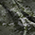 Bushwolf Digital Green Aurora Graphics makes the largest and highest resolution camouflage, camo patterns on the planet under the Bushwolf obliteration trademark. In direct competition with and Superior to companies like Kryptek, Realtree, Mossyoak, real, tree, mossy, oak. We offer many different designs such as lifestyle patterns, tactical patterns, hunting patterns, field patterns. Great for hunting any type of game such as pheasant, deer, turkey, quail, buck, Whitetail, elk, Caribou, moose, Pronghorn sheep, antelope. Military, Army and Patriotic.