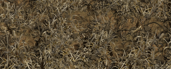 Bushwolf Grassland Camo Aurora Graphics makes the largest and highest resolution camouflage, camo patterns on the planet under the Bushwolf obliteration trademark. In direct competition with and Superior to companies like Kryptek, Realtree, Mossyoak, real, tree, mossy, oak. We offer many different designs such as lifestyle patterns, tactical patterns, hunting patterns, field patterns. Great for hunting any type of game such as pheasant, deer, turkey, quail, buck, Whitetail, elk, Caribou, moose, Pronghorn sheep, antelope. Hunting, Forest, Tree, Sports and Games.