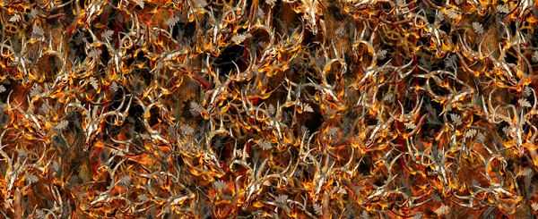Bushwolf Obliteration Buck Blaze Camo